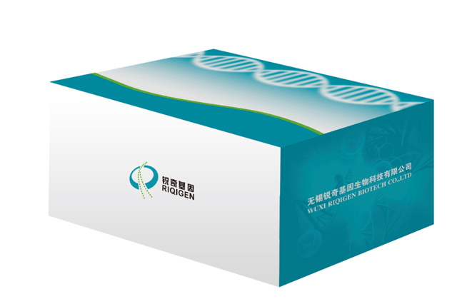 人类B-raf基因V600E突变检测试剂盒（荧光PCR法）